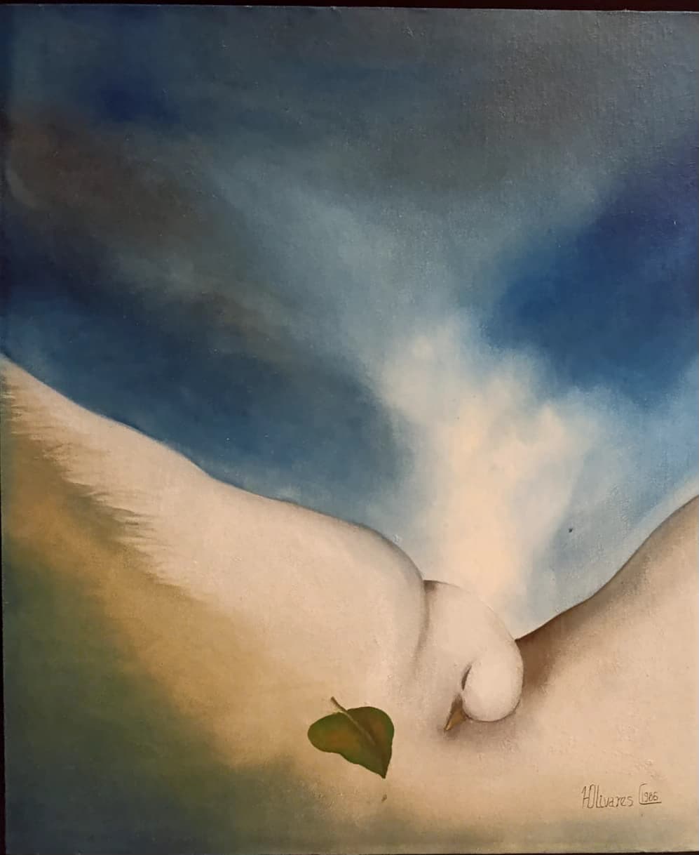 Paloma por Hector Olivares