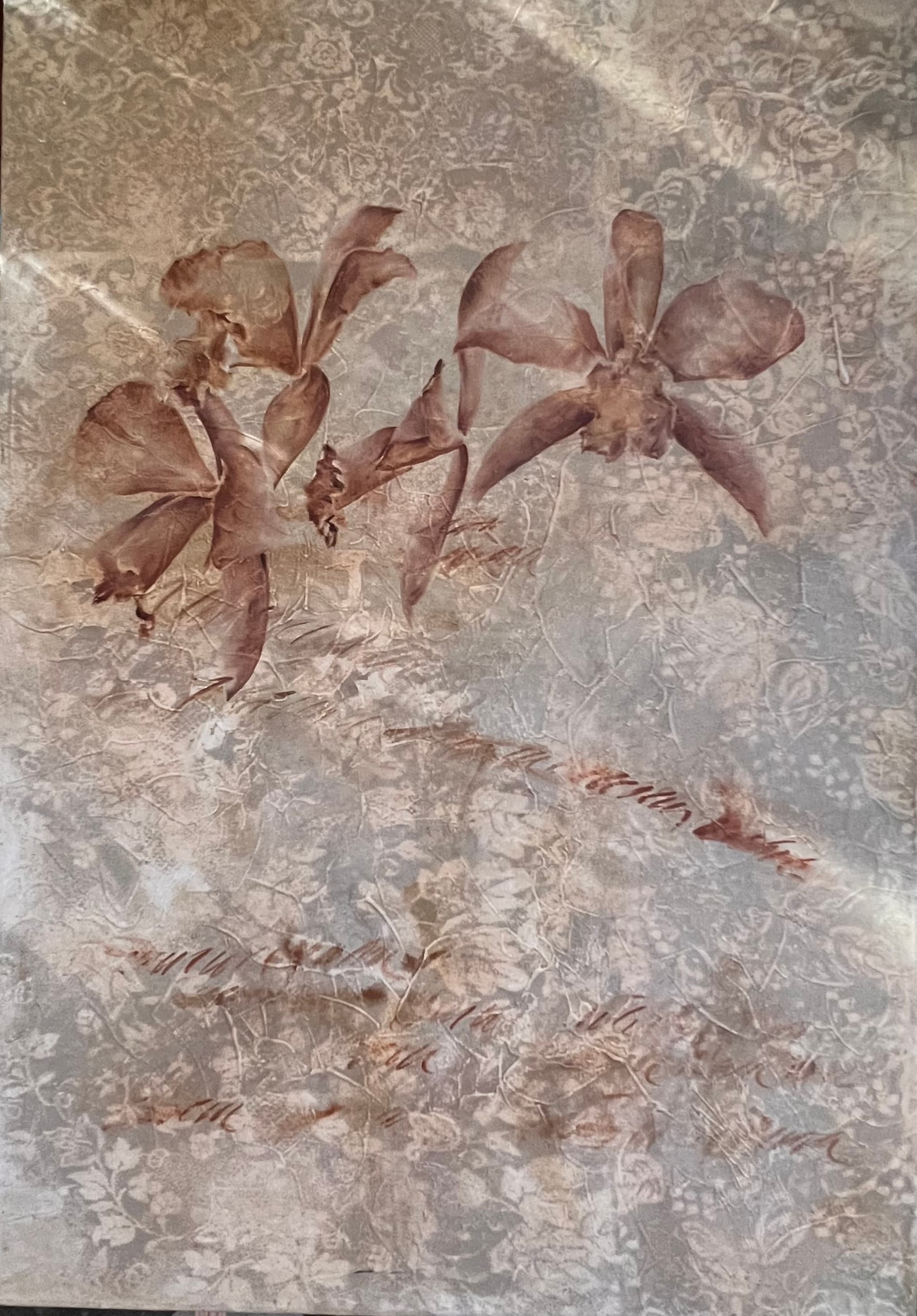 Orquídeas amarillo por Guillermo Conte