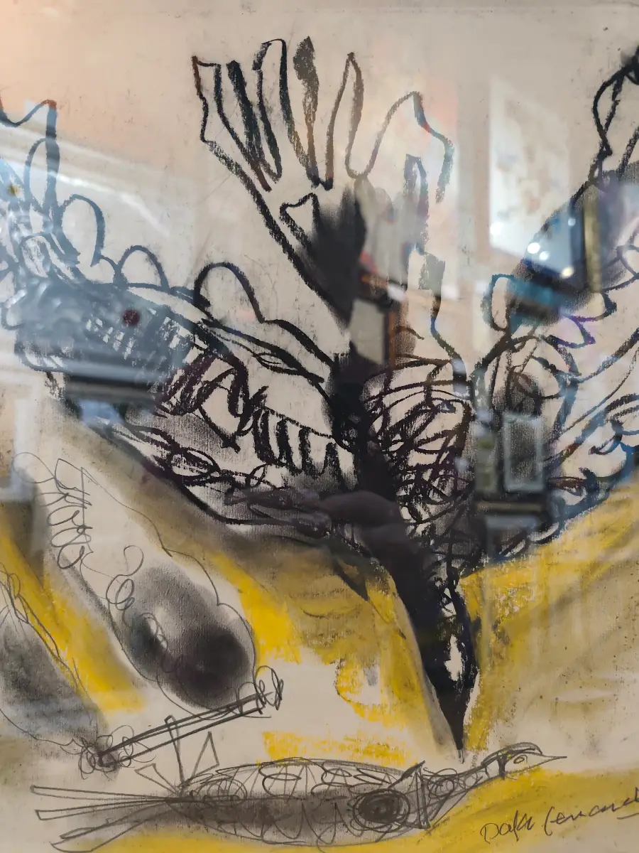 Aves por Rafa Fernández